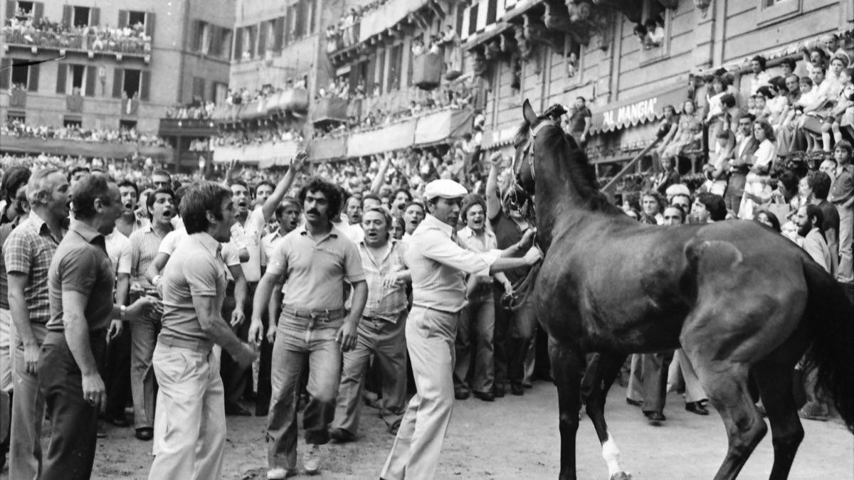 Siena, il Palio