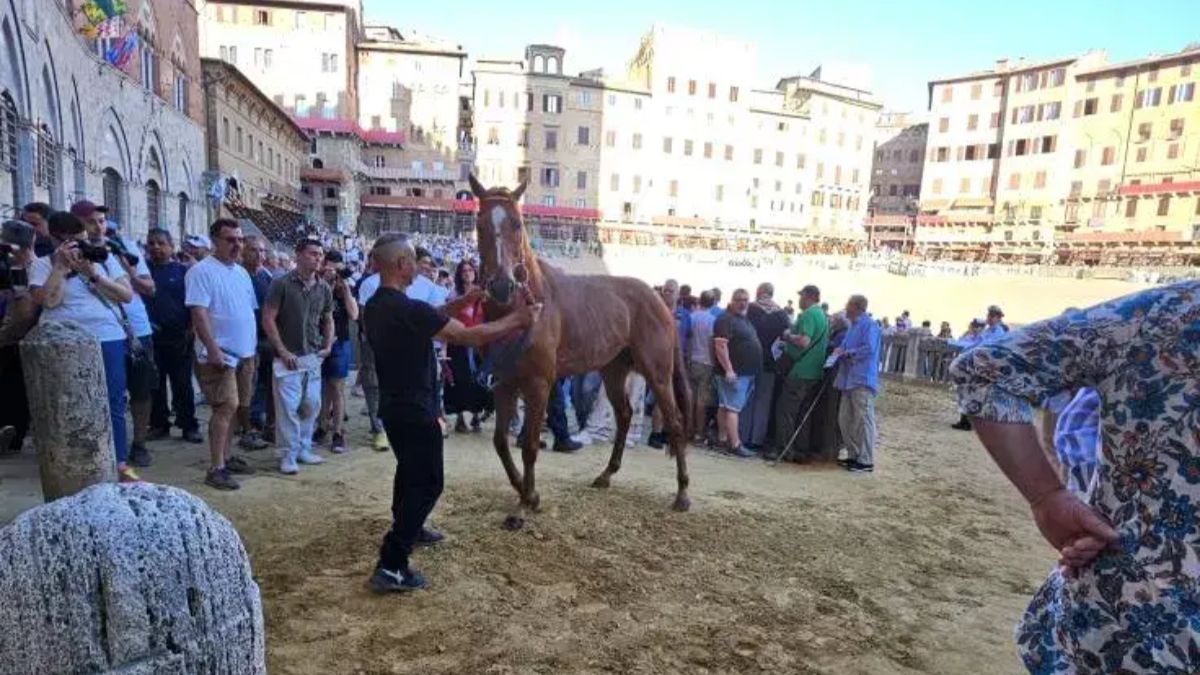 A grandi passi verso il Palio: definite le procedure per le previsite e la tratta