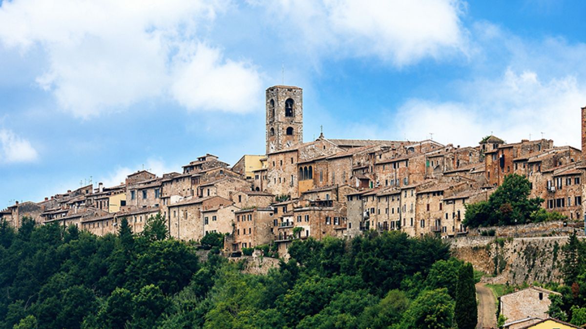 Approvazione del Regolamento del Verde Urbano pubblico e privato del Comune di Colle di val d&rsquo;Elsa