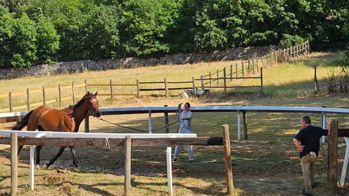 Al Ceppo via alle previsite: 119 cavalli sotto esame