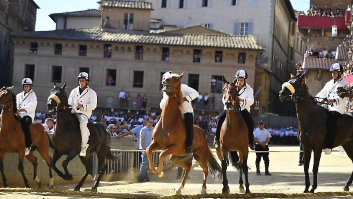 Scelti i dieci cavalli dai Capitani delle Contrade