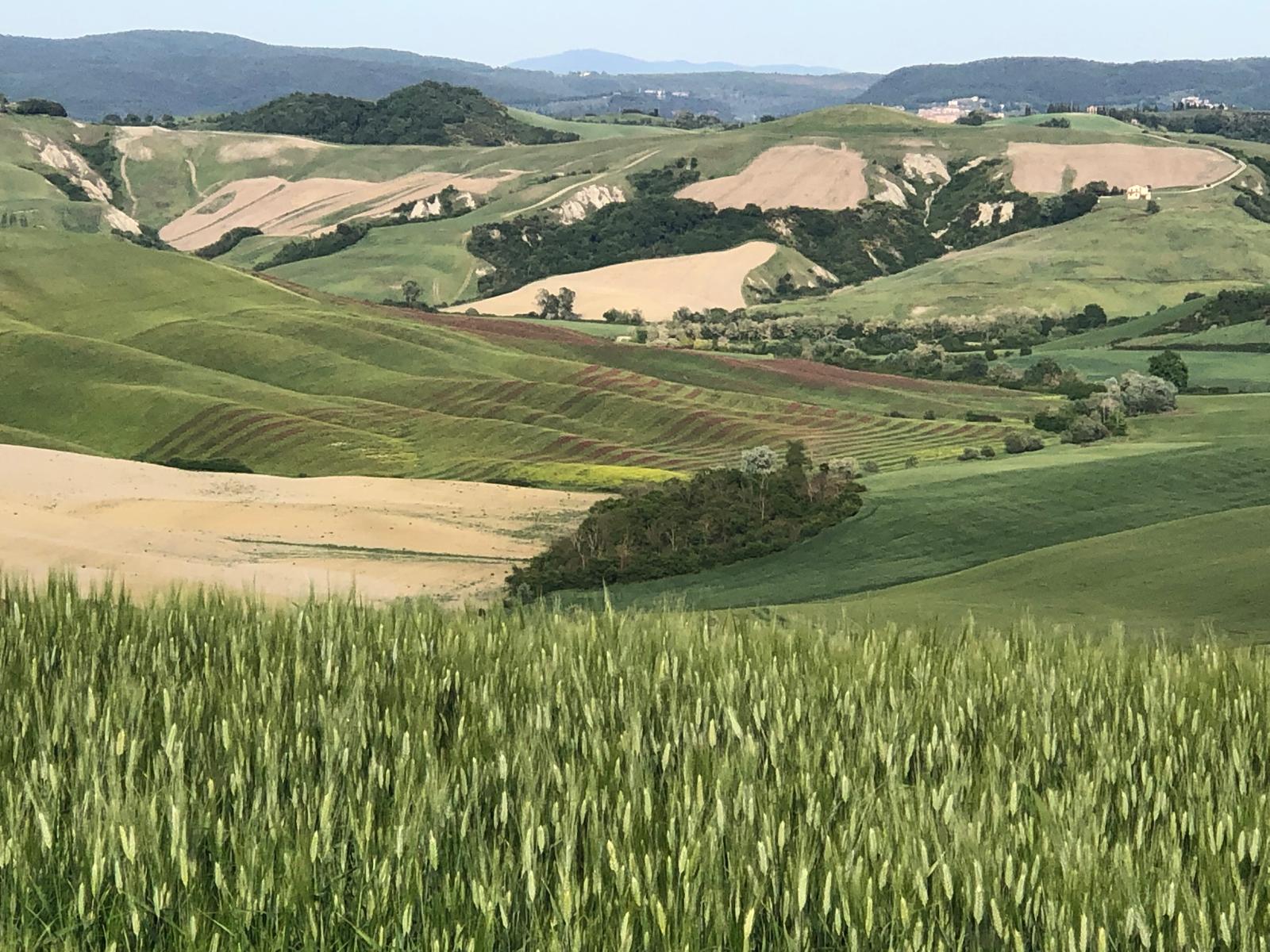 Asciano Suono Festival, la musica incontra la magia delle Crete Senesi