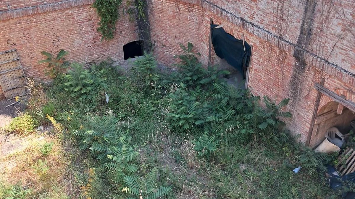 Siena negletta 1.  La Fortezza