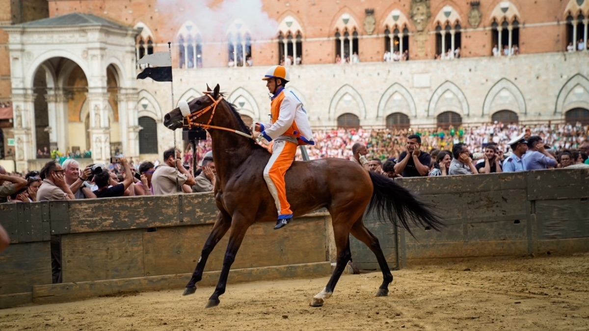 Il Leocorno vince la prova generale