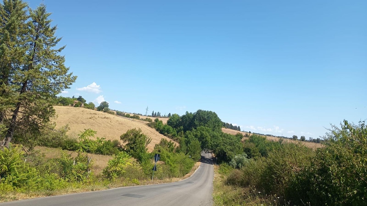 Siamo noi questa terra. La festa dell&rsquo;unit&agrave; tra sviluppo economico e identit&agrave; culturale