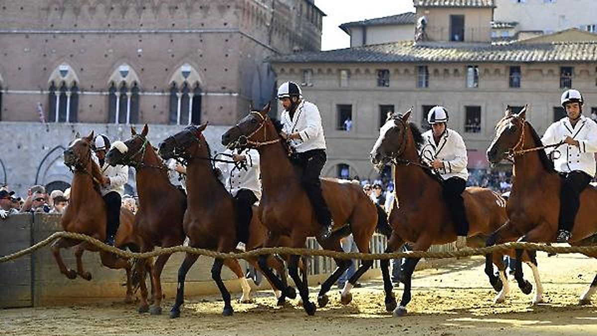 Ecco i dieci cavalli scelti dai Capitani per la carriera del 16 agosto