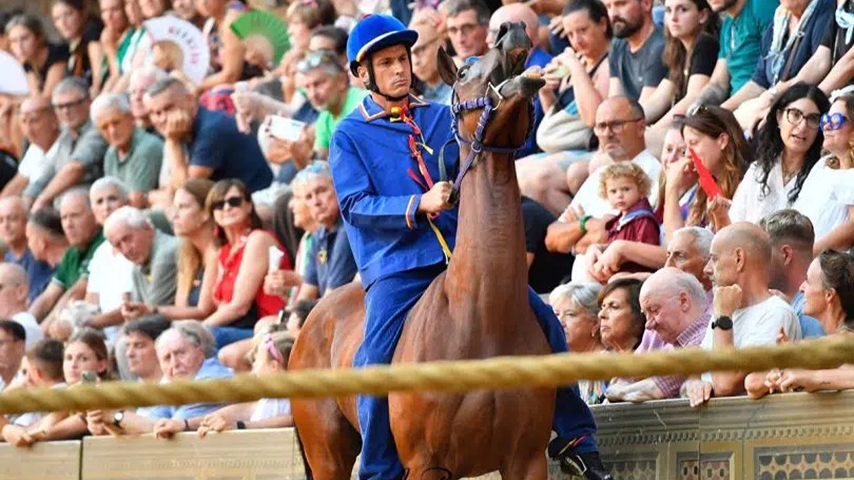 Il Nicchio trionfa nel Palio dell&rsquo;Assunta, per Tittia &egrave; la tredicesima vittoria