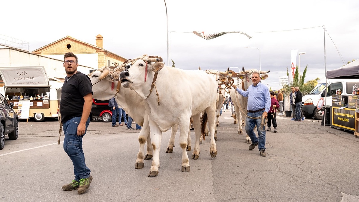 La Fiera alla Pieve torna a Sinalunga: nove giorni tra tradizione, agricoltura e territorio