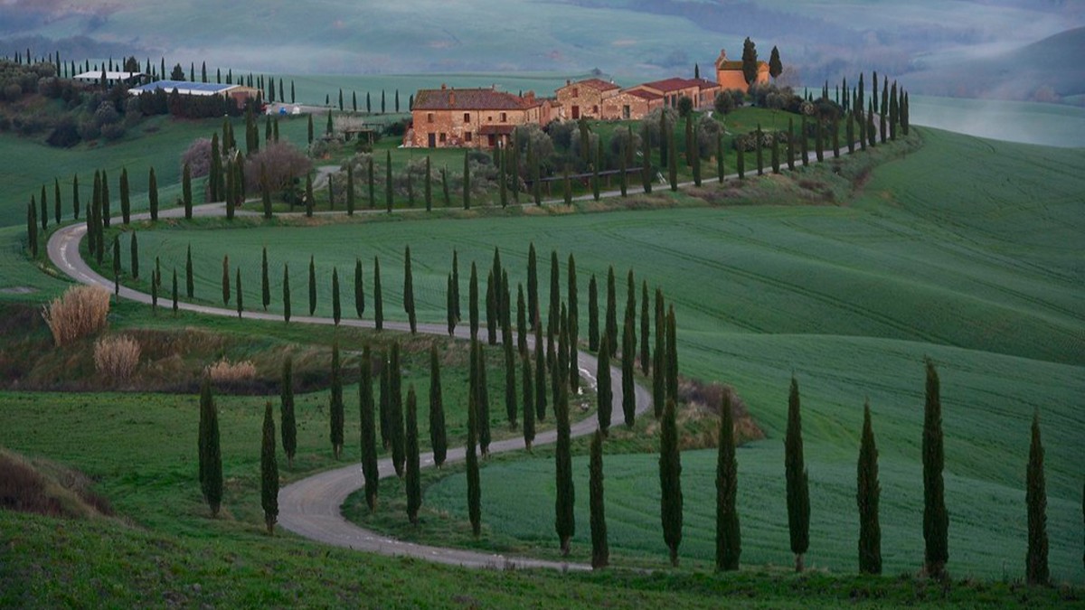 La cipressizzazione: marcare o marchiare il territorio?