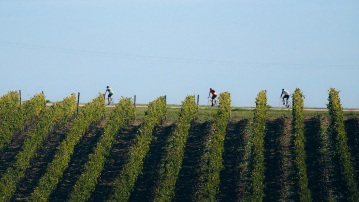 Dai 92 pionieri del 1997 ai 9.000 di oggi: Gaiole al centro de L&rsquo;Eroica